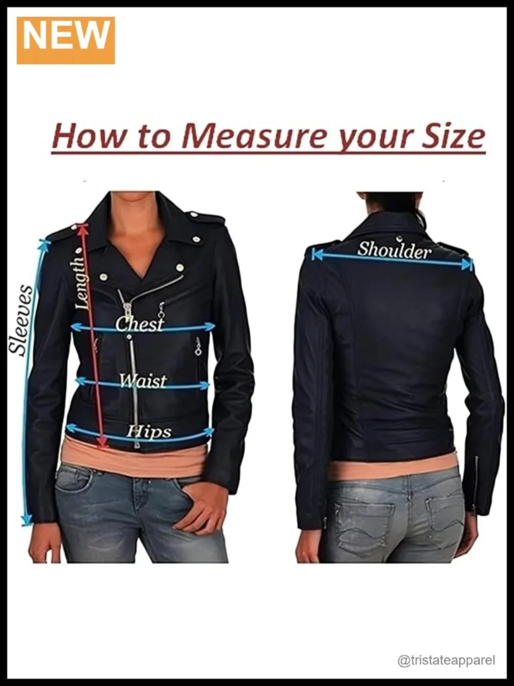 Real Leather Motorcycle Bomber Biker Jacket Winter Wear